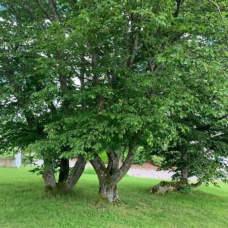 Urlaub In Appartement *