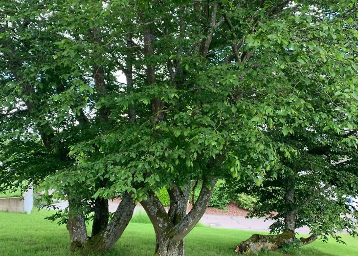 Urlaub In Apartamento *